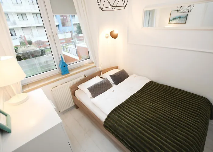 Navigator Zielone Tarasy *